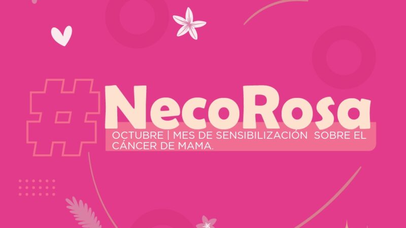 Octubre se viene con una fuerte campaña desde la salud pública para la detección precoz del cáncer de mama