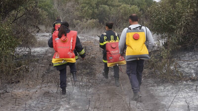 Se pudo contener el incendio en Quequén y se mantiene una guardia de cenizas permanente
